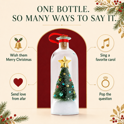 Recordable Christmas Message Bottle