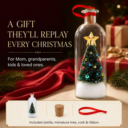 Recordable Christmas Message Bottle