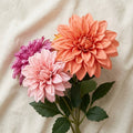 Textured Dahlia Flower Stem