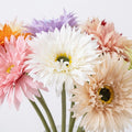 Modern Gerbera Daisy Stem