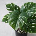 Faux Monstera Ornament