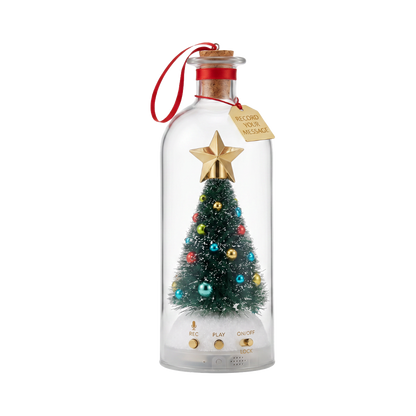 Recordable Christmas Message Bottle
