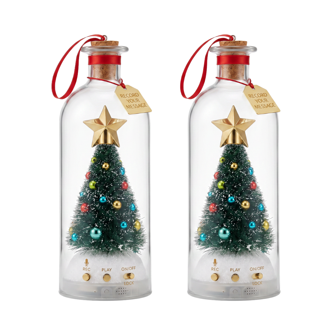 Recordable Christmas Message Bottle