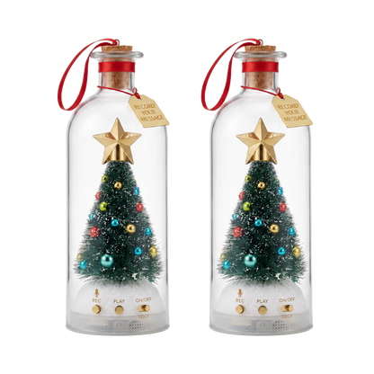 Recordable Christmas Message Bottle