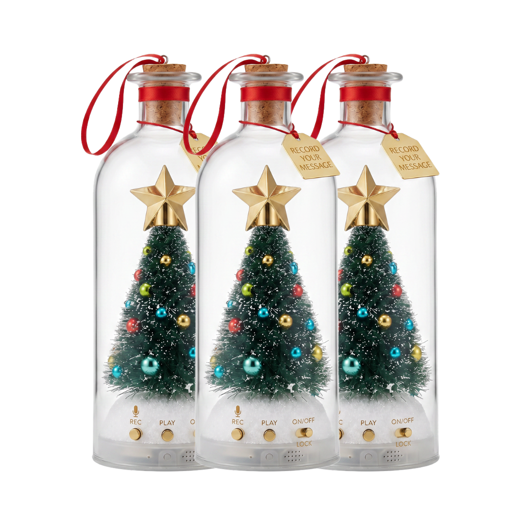 Recordable Christmas Message Bottle