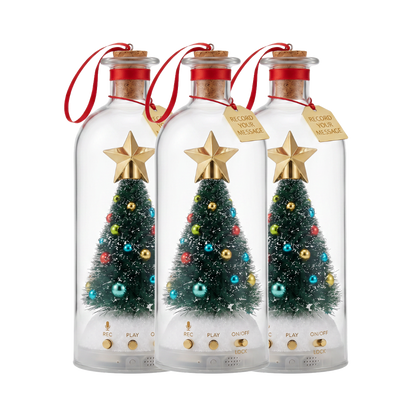 Recordable Christmas Message Bottle