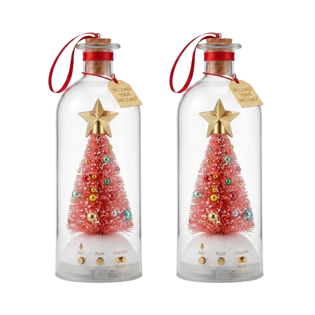 Recordable Christmas Message Bottle