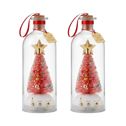 Recordable Christmas Message Bottle