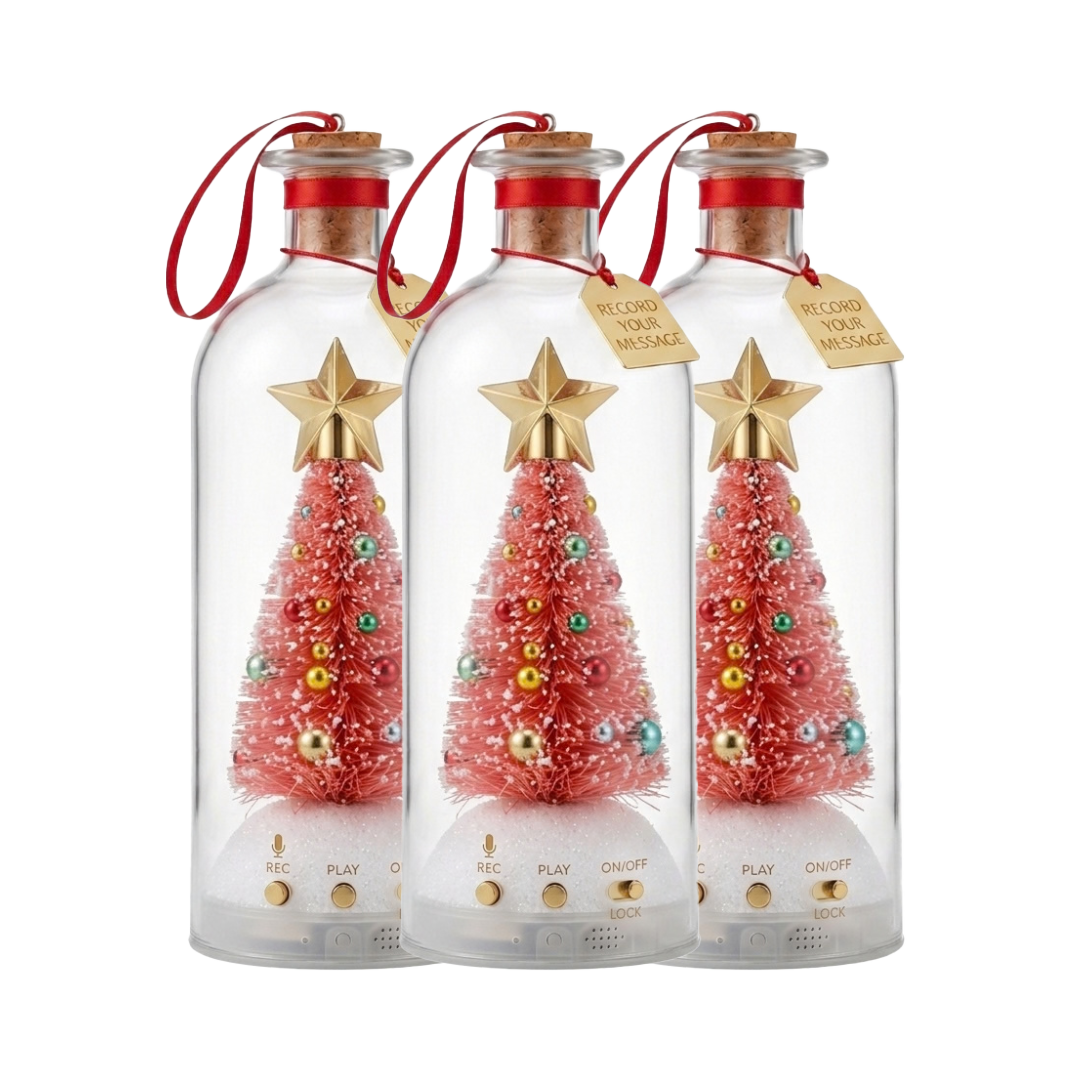 Recordable Christmas Message Bottle