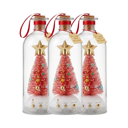 Recordable Christmas Message Bottle