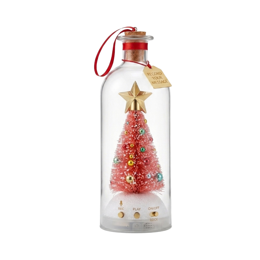 Recordable Christmas Message Bottle