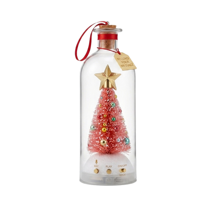 Recordable Christmas Message Bottle