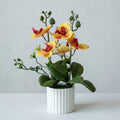 Faux Phalaenopsis Orchid Potted Arrangement